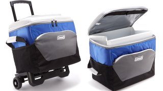 Illustration for article titled GarageWorks Storage Solution, Portable Tire Inflator, and More Deals